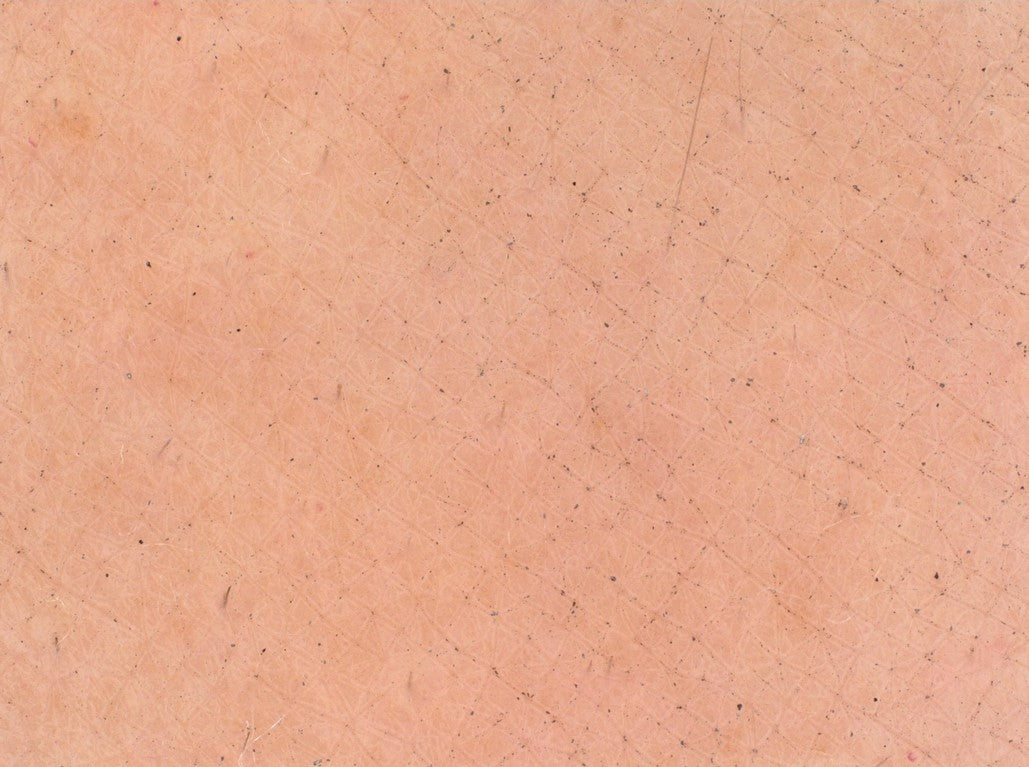 Dopo